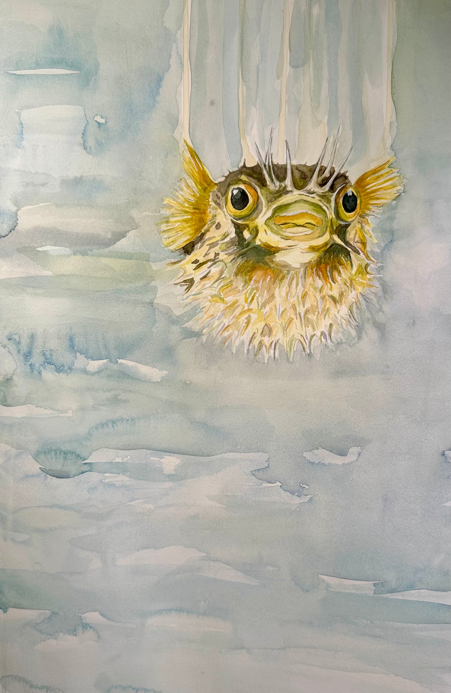 Hand-painted illustration of a puffed porcupine fish hovering on a large bluish green watery, drippy background