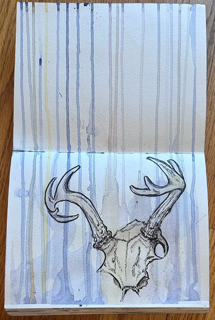 Open sketchbook with an ink sketch of a deer skull with watercolor drippings from the bottom up. 