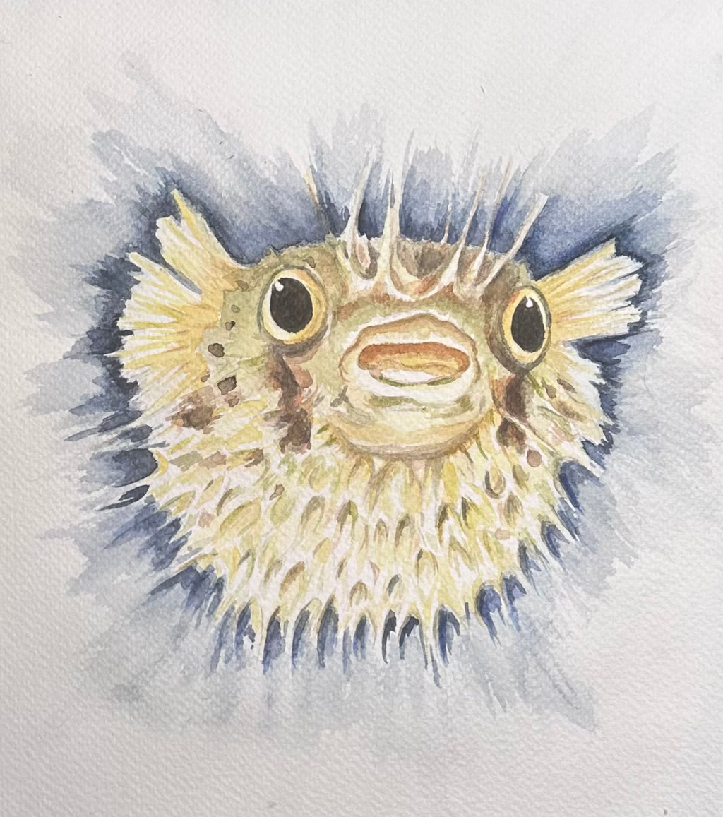 Hand-painted illustration of a puffed porcupine fish surrounded by a deep blue burst of color hovering near the top of a sheet of white textured paper