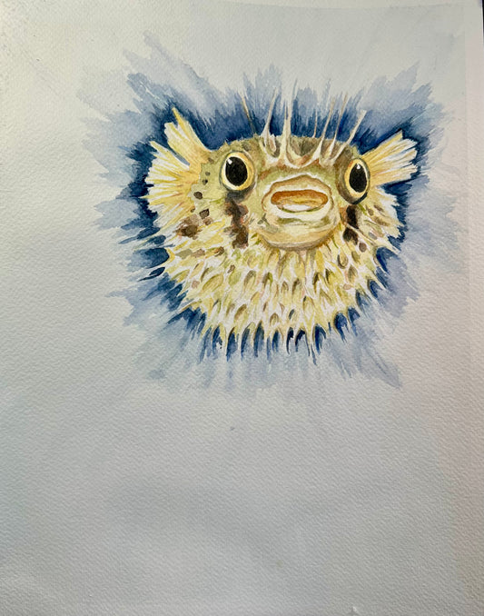 Hand-painted illustration of a puffed porcupine fish surrounded by a deep blue burst of color hovering near the top of a sheet of white textured paper